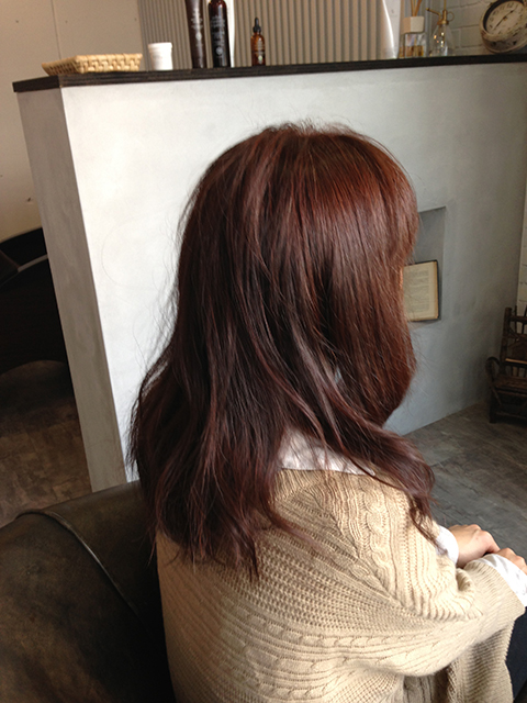 お得なメニュー