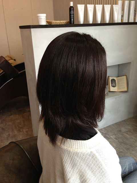 美髪フルコース