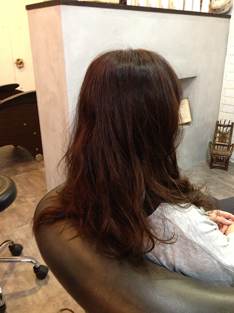 ジョンマスターの美髪スペシャルコース！