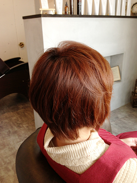 カラーと一緒にヘッドスパ！