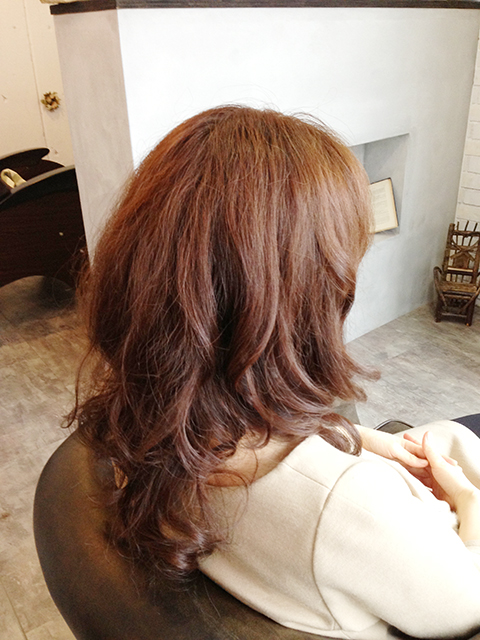 春にオススメ！アッシュラベンダー