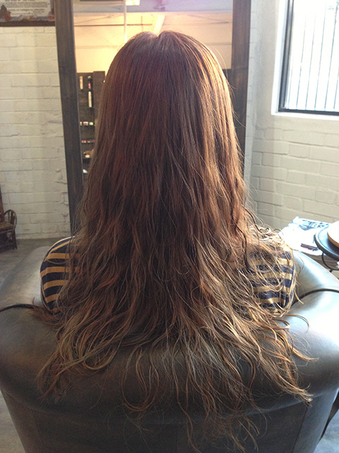 プラチナダブルカラー